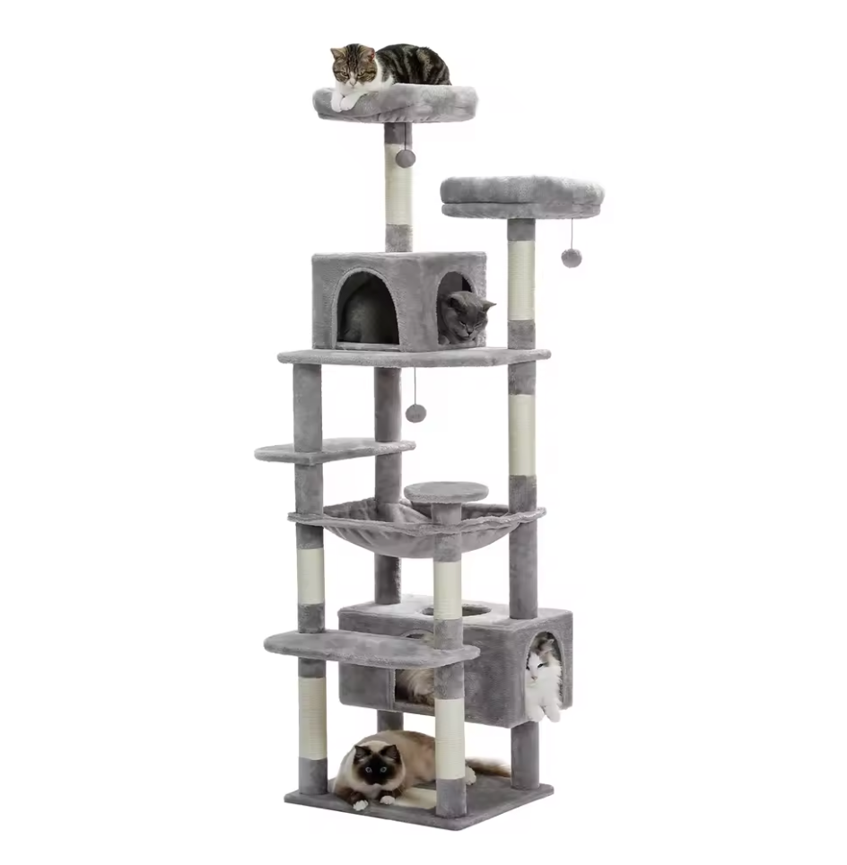 Arbre à chat d’intérieur multi-niveaux