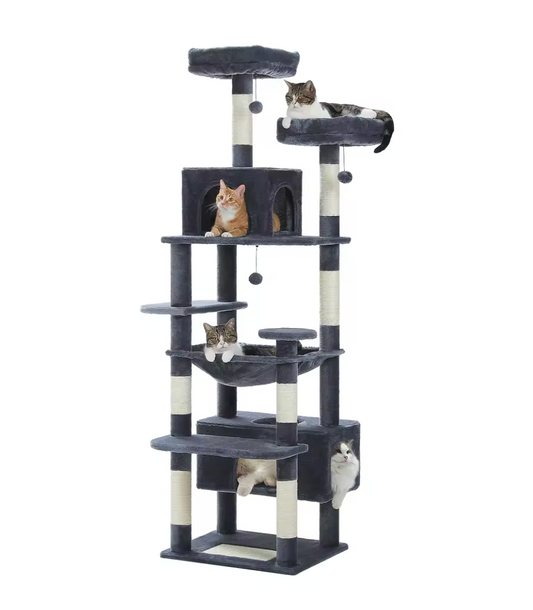 Arbre à chat d’intérieur multi-niveaux