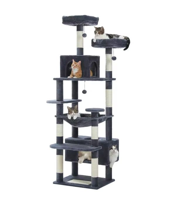 Arbre à chat d’intérieur multi-niveaux