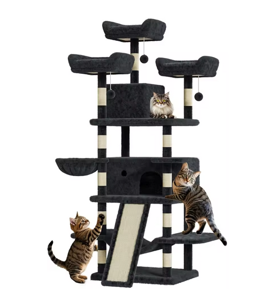 Arbre à chat d’intérieur trois niveaux